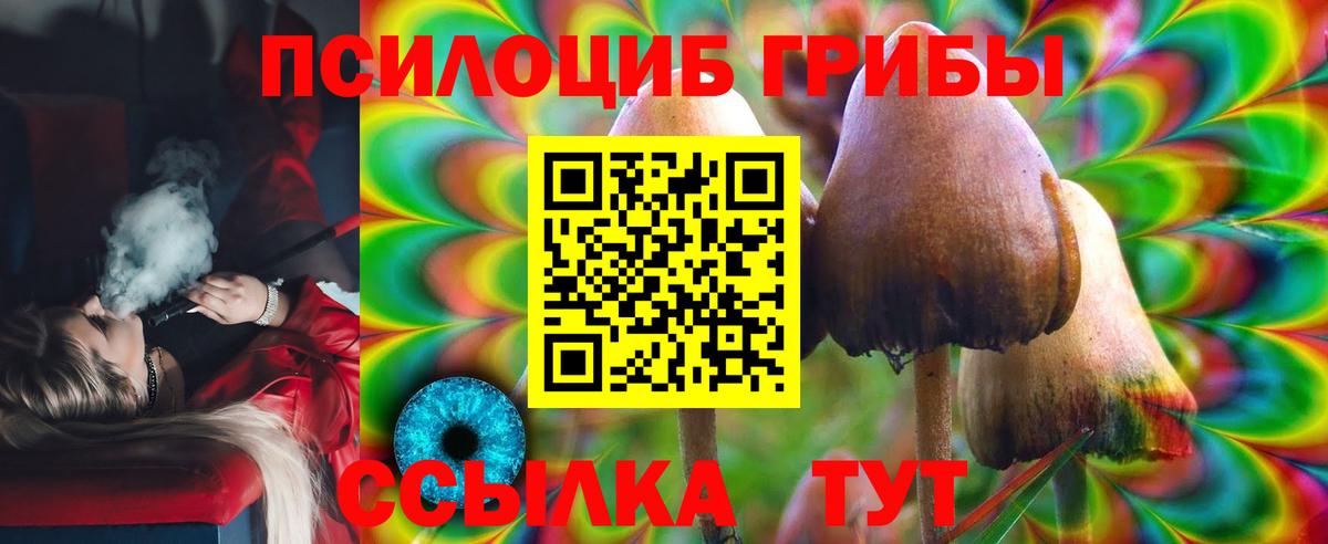 купить   Галлюциногенные грибы Magic Shrooms  Вход с VPN  Серпухов 